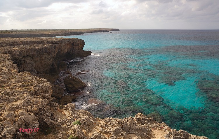 Cala Blanca (La transparencia del agua)