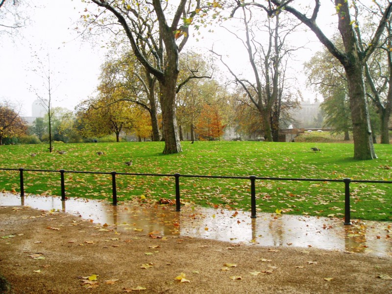 St James Park