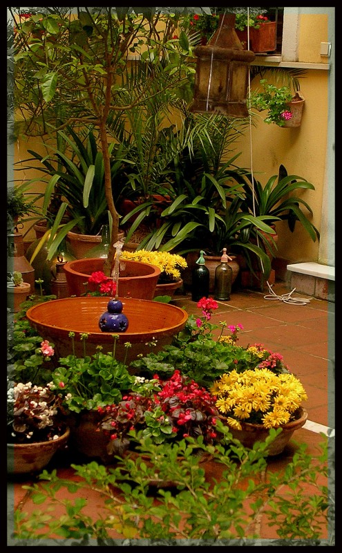 Patios Cordobeses 2
