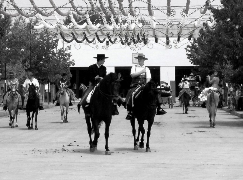 Paseo de caballos