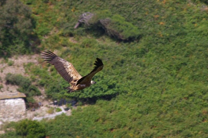 Aterrizando