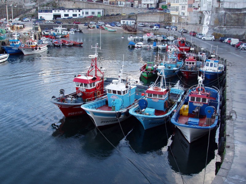 Puerto pesquero