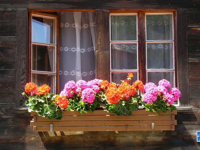 ventana suiza