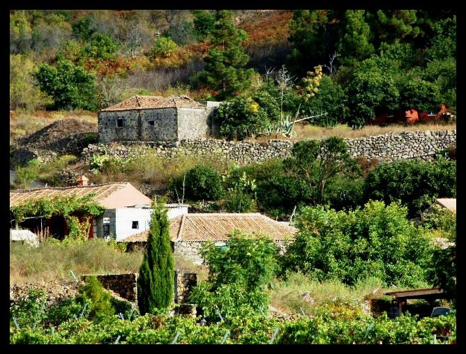 Las Bodeguitas de las parrandas