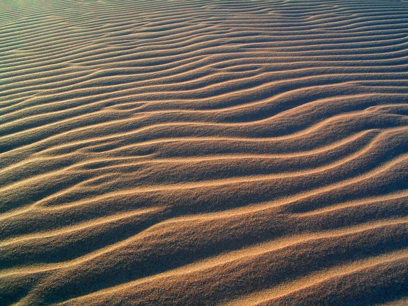 La arena y el viento