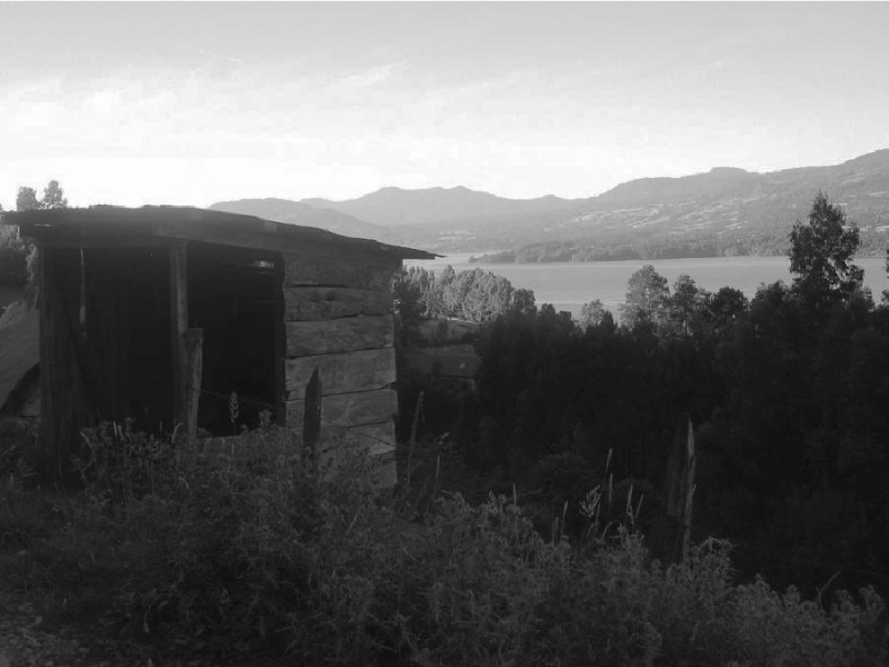 cardo, madera y paisaje