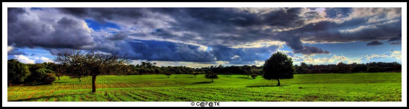 Panoramica vora felanitx