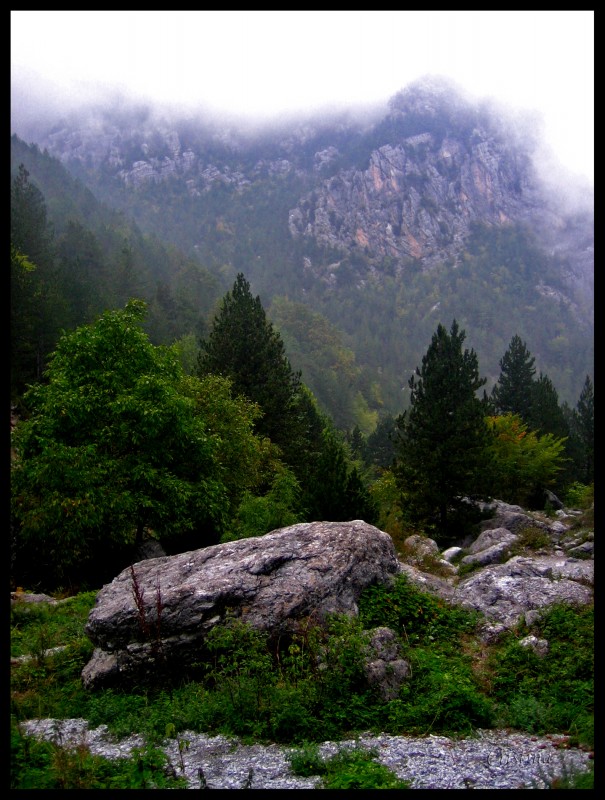 Los Dioses se escondieron entre la niebla...