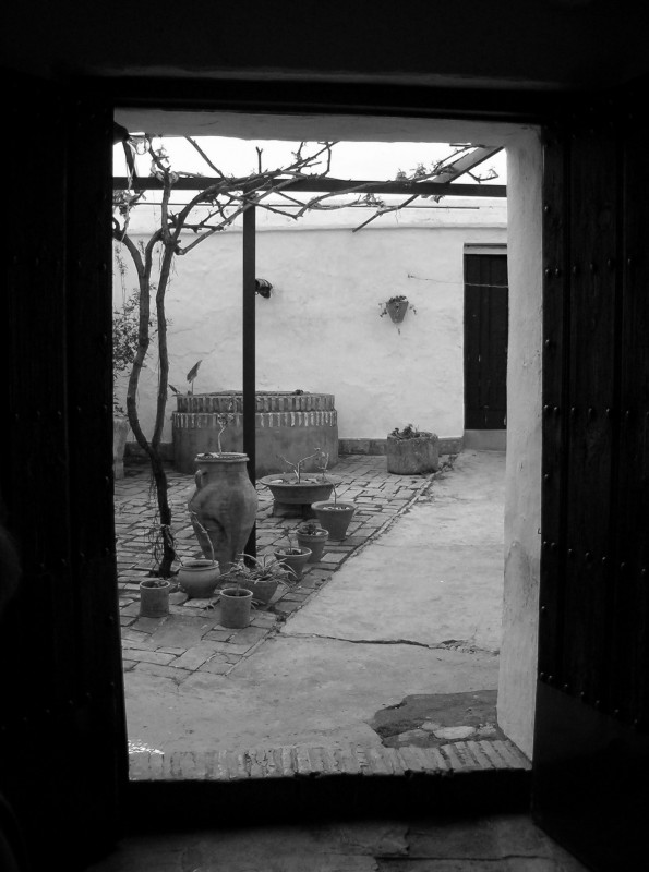 El viejo patio