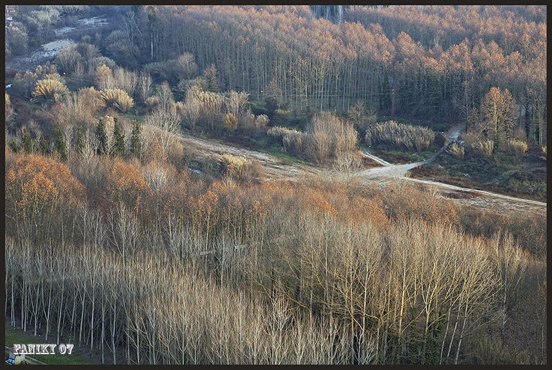 Cruce de Caminos