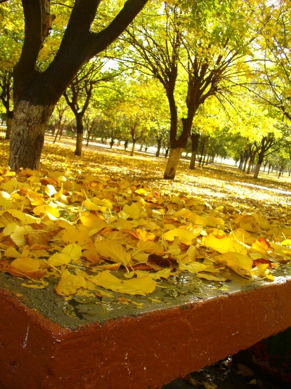 Mesa de Otoo.