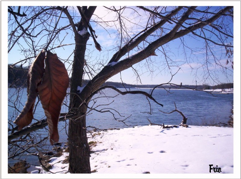 Soledad de Invierno