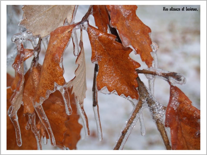 Nos alcanzo el invierno!!