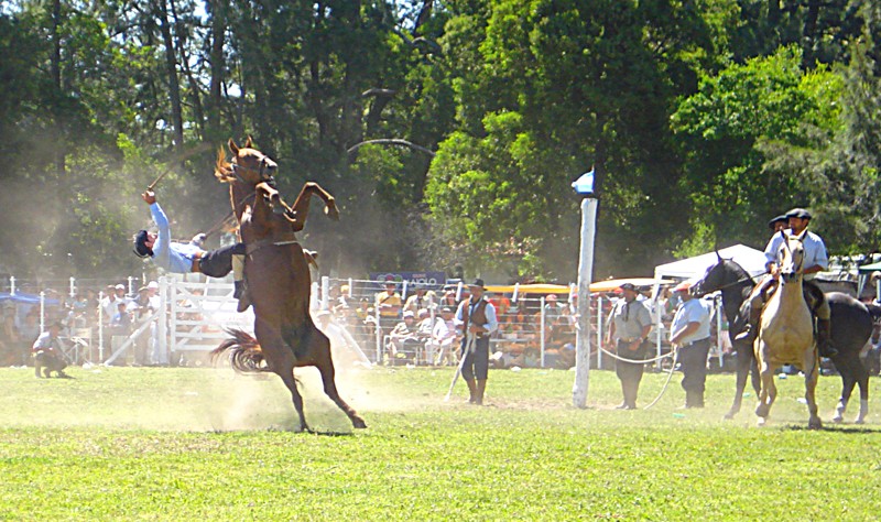 Fiesta del Gaucho IV