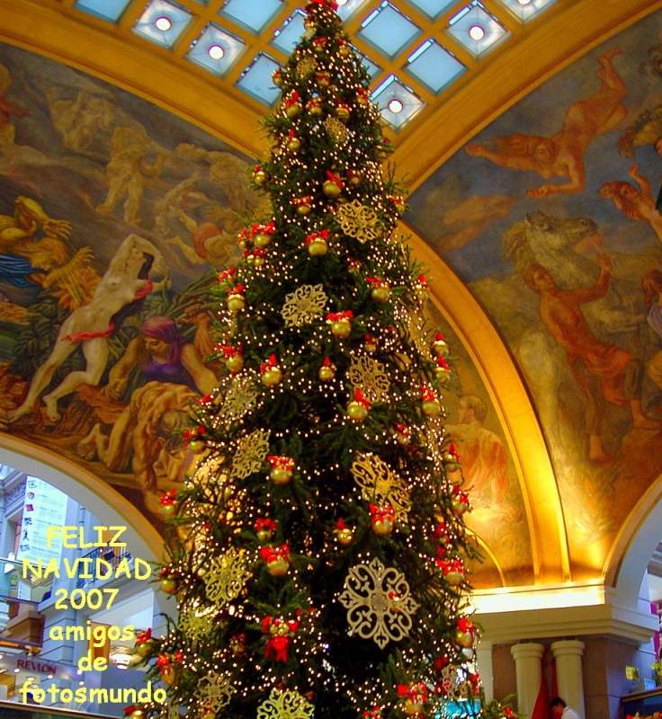 Feliz Navidad amigos de fotosmundo