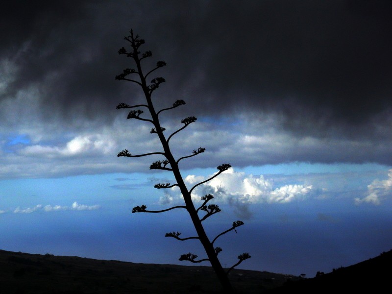 el paso de la tormenta