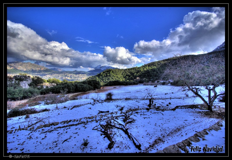 Feliz navidad desde Mallorca