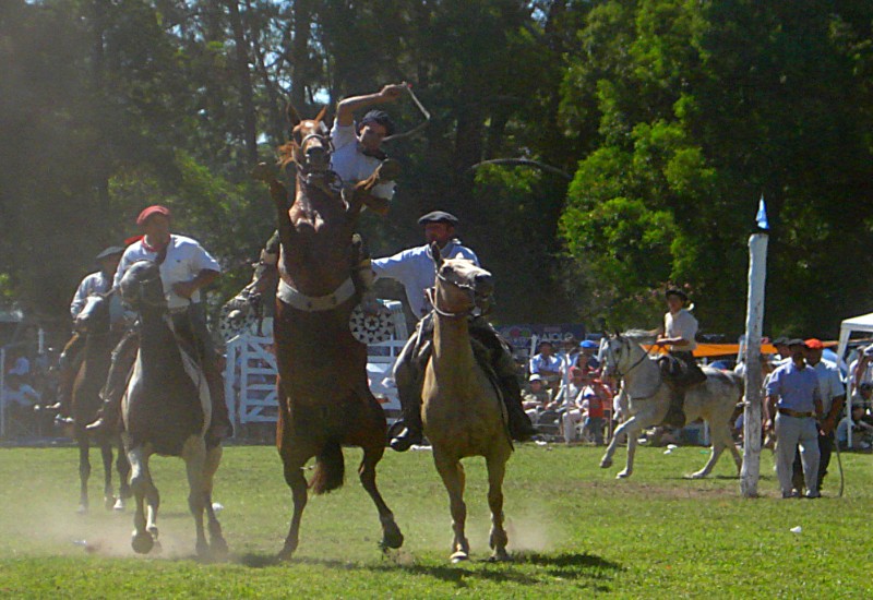 Fiesta del Gaucho VI