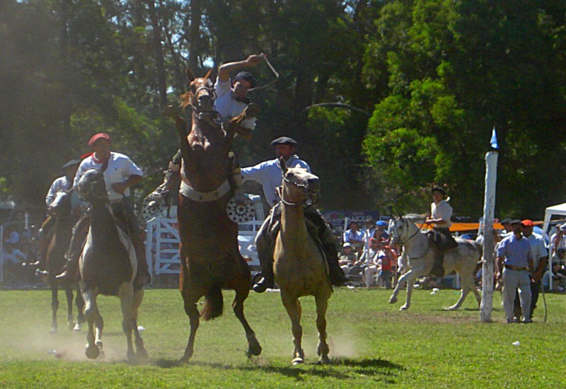 Fiesta del Gaucho VI