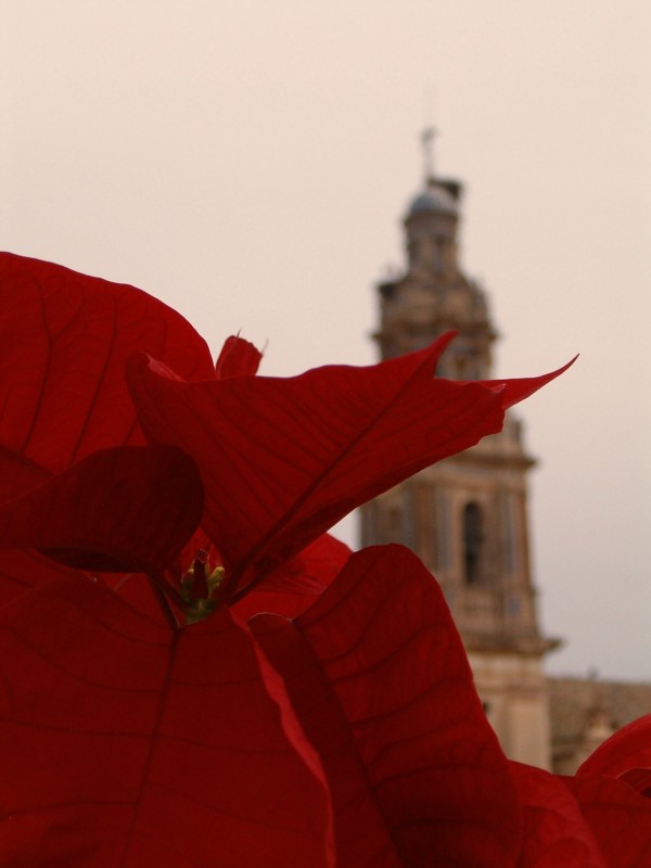 Desde Peaflor: Feliz Navidad