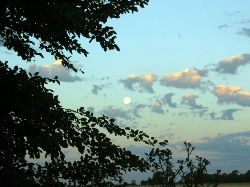 Por el cielo va la luna