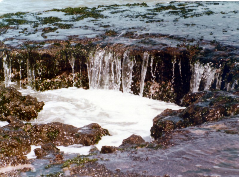 Mar del Plata