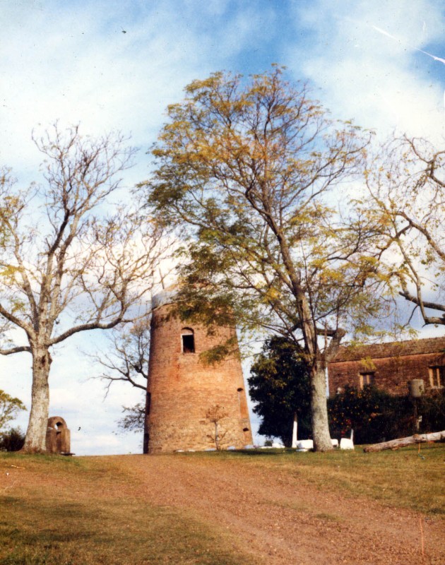 Ruinas del viejo molino