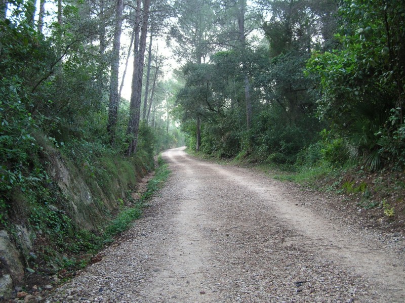 Senda al Monasterio