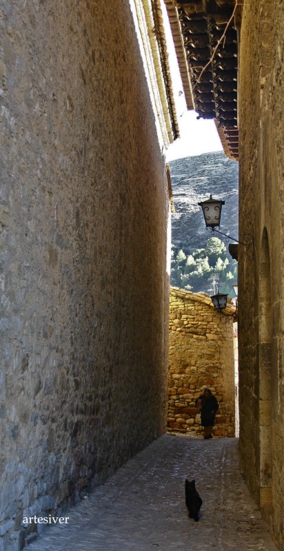 calle abuela y gato