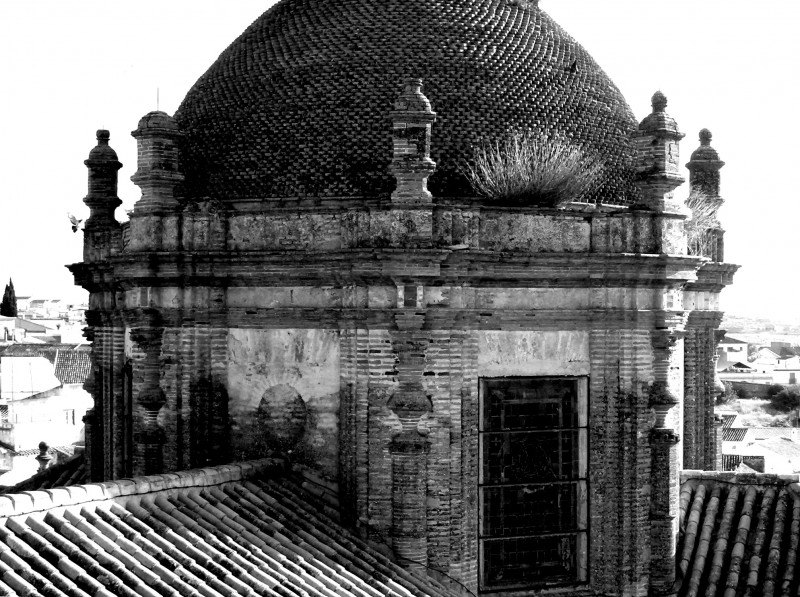 Cpula de la Iglesia