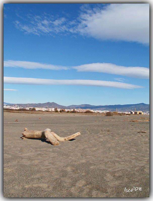 Desierto en la ciudad