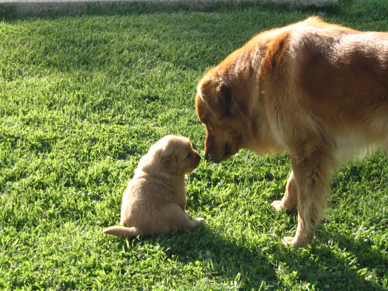 Padre e hijo