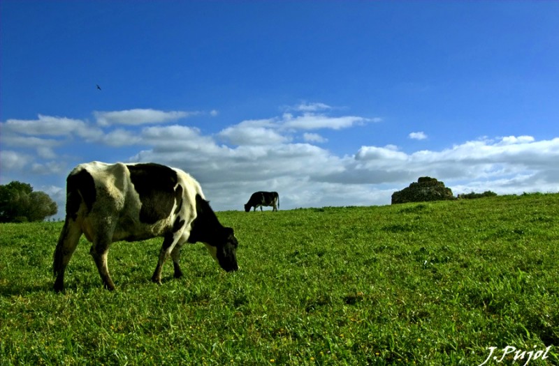 Remanso de paz