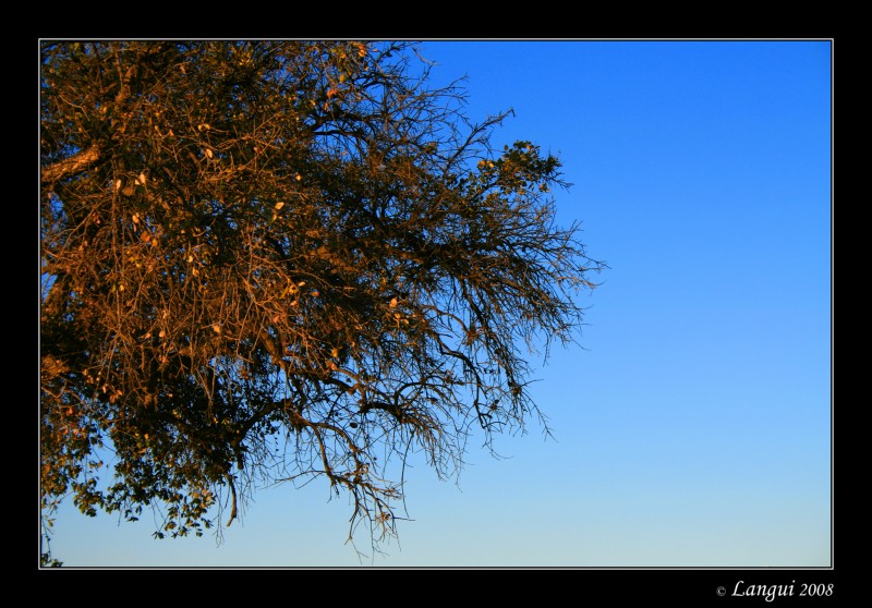 Acariciando el cielo