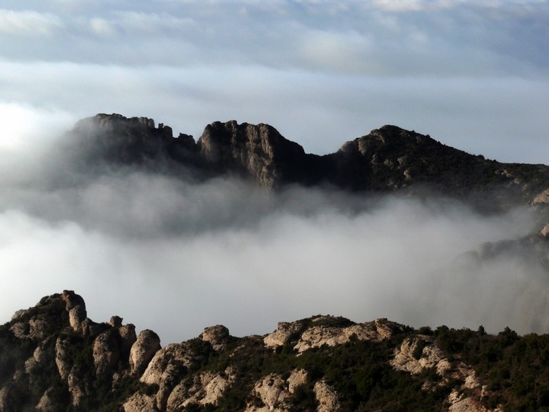 triunfo de la luz sobre la niebla