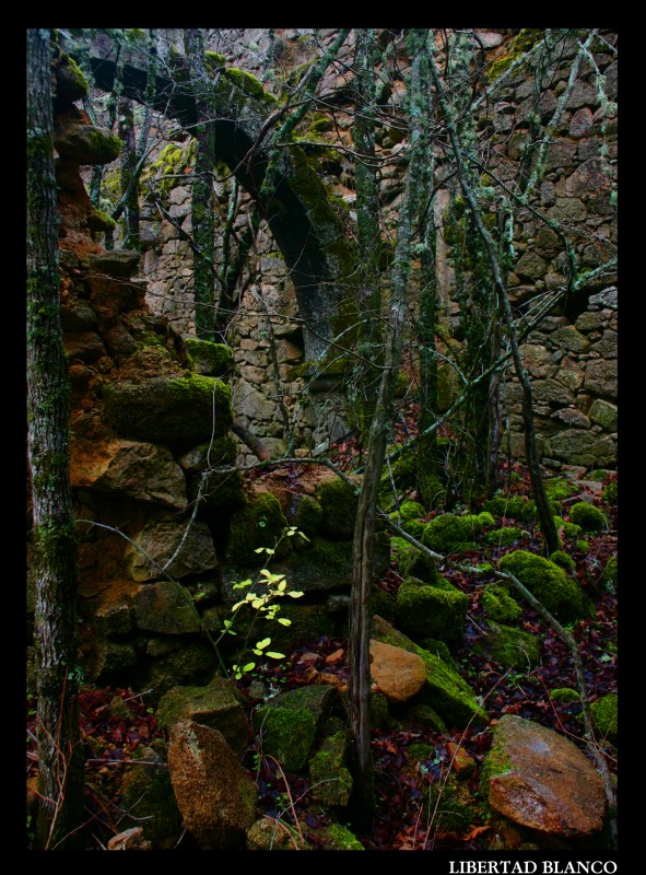 Monasterio abandonado2