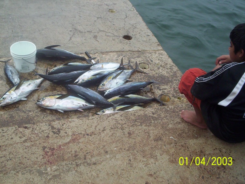 Pesca matutina