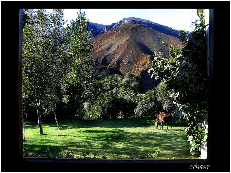 Desde la ventana del hotel