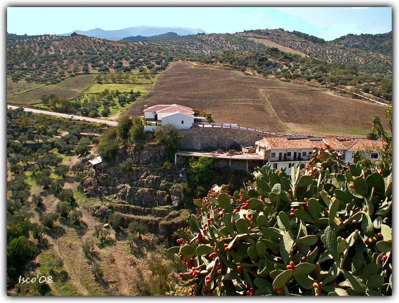 Desde el mirador