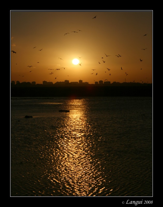 Atardecer en las marismas