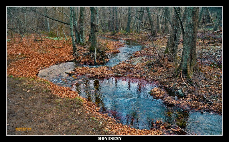 El Bosque encantado