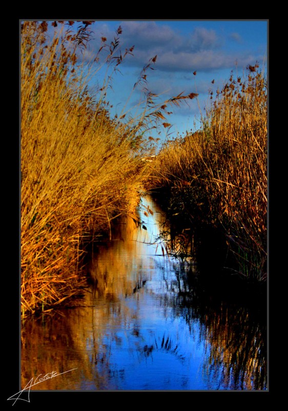 Albufera de  Muro