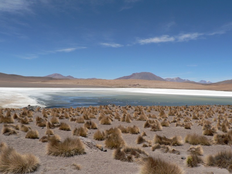 Laguna al lado del Salar de Uyuni