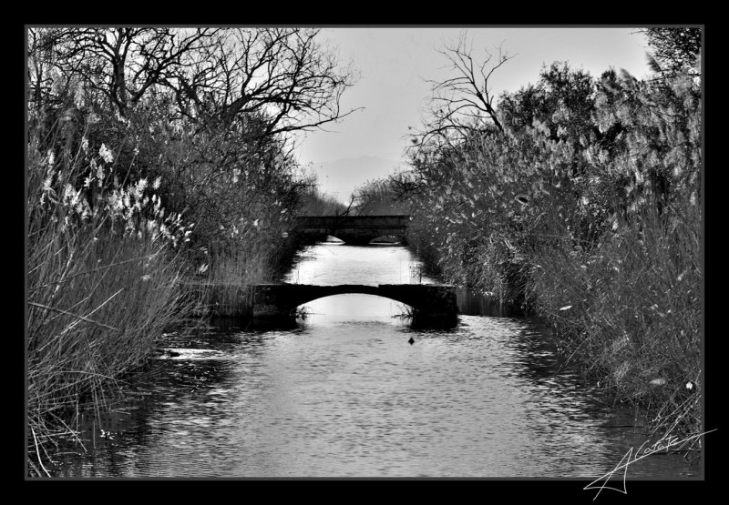 Albufera