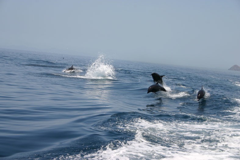 la paz baja california