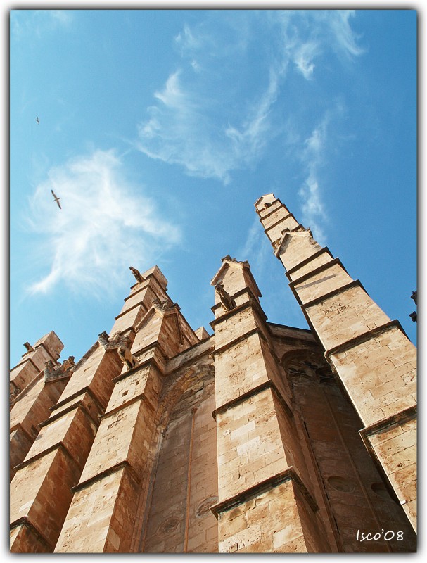 Grgolas en el cielo