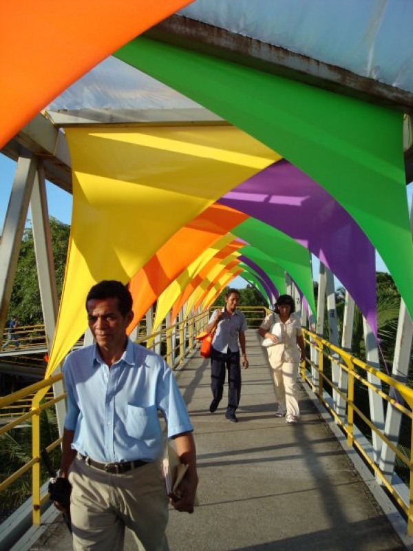 Puente Peatonal.