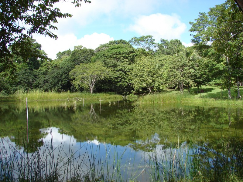 El espejo de los mayas