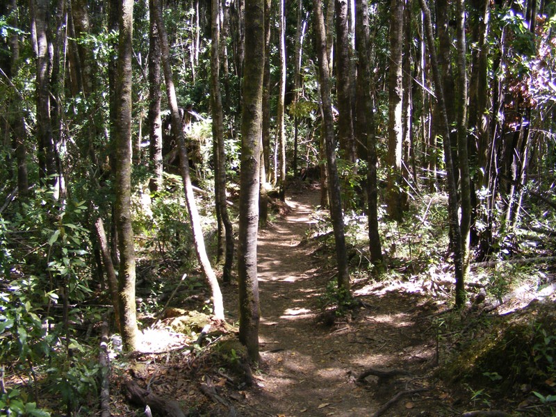 Sendero Salto del Puma