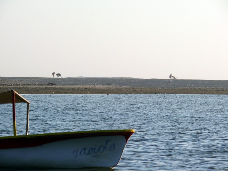 En la orilla